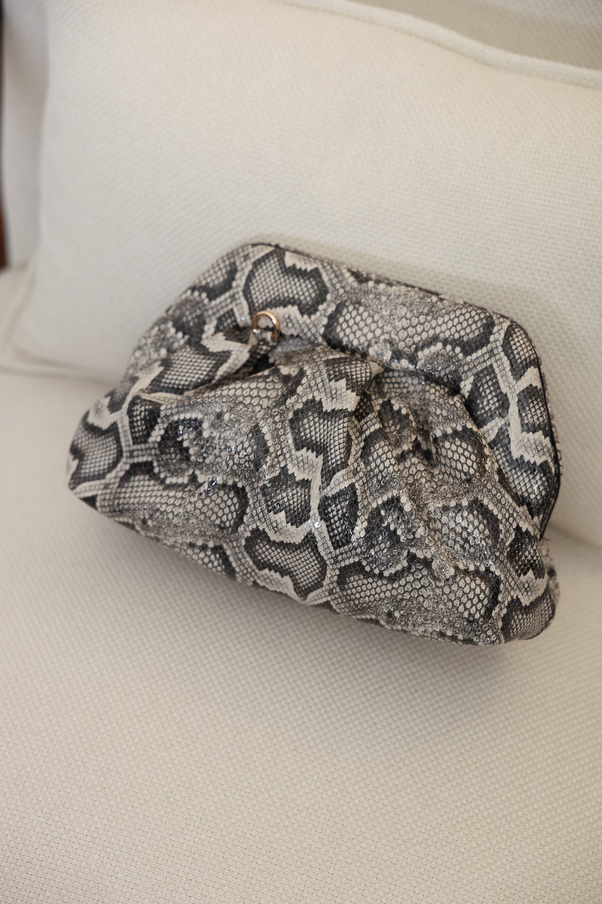 Clutch pitonata